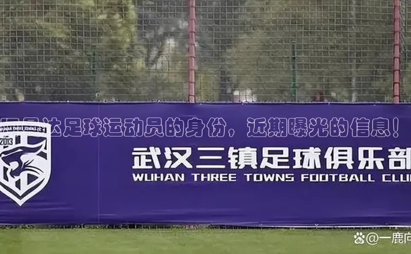 天辰注册登录官网百度手机卫士阿曼达足球运动员的身份，近期曝光的信息！