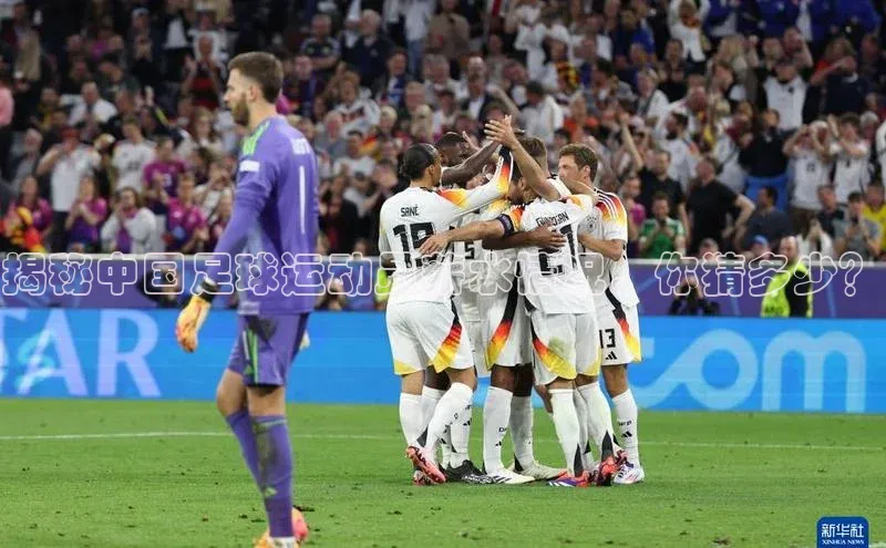 天辰注册登录官网知乎揭秘中国足球运动员薪水情况，你猜多少？