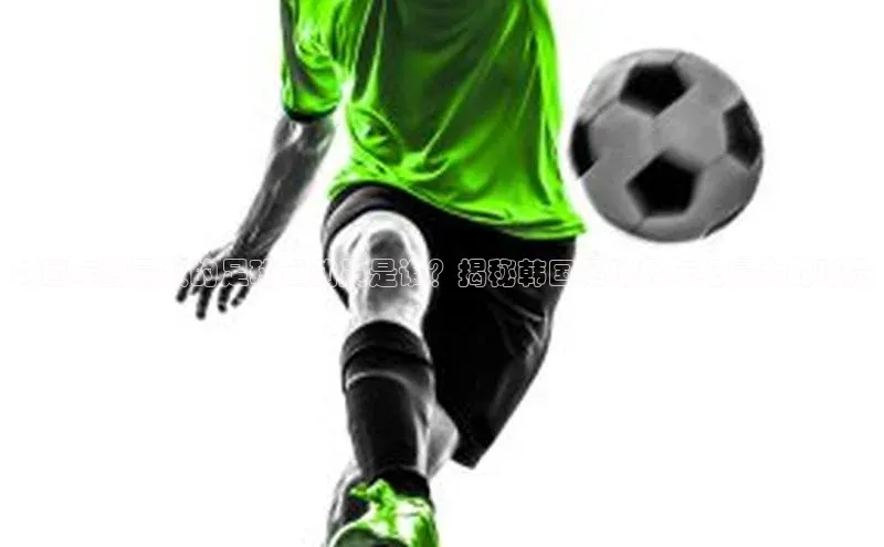 天辰平台用户登录入口百度网盘韩国年龄最大的足球运动员是谁？揭秘韩国足球界年纪最大的球员