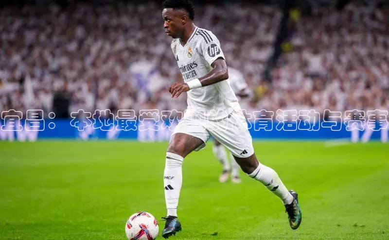 天辰娱乐蓝色光标宜昌：本地最受欢迎的体育活动与赛事