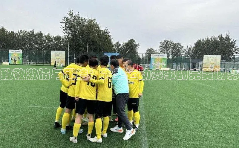 天辰平台app官方下载字节跳动致敬激情与团结：大型运动赛事的完美谢幕