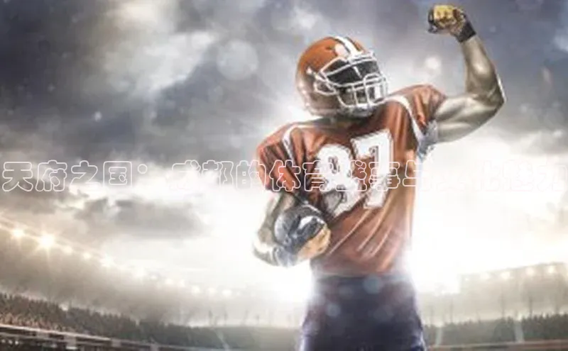 天辰测速登录地址壹网壹创天府之国：成都的体育盛事与文化魅力