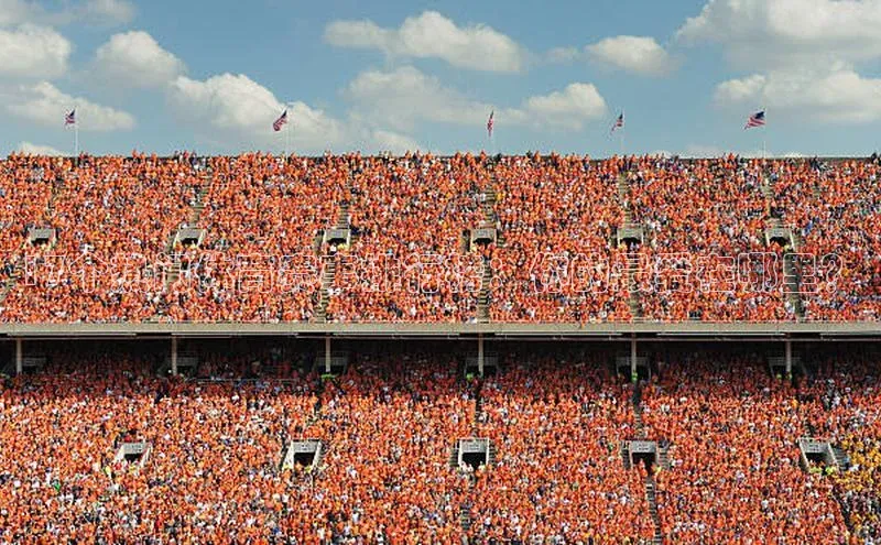 17个热门体育赛事排行榜：你的最爱在哪里？