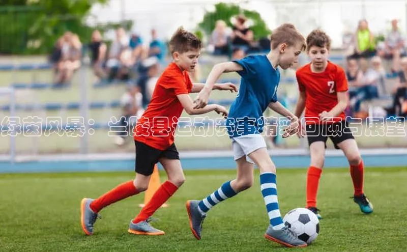 绿茵风暴：兰陵县运动赛事精彩回顾与展望