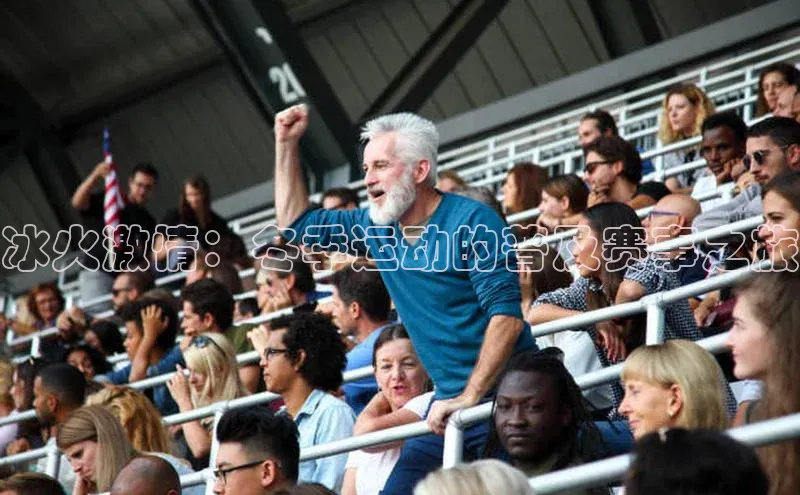 冰火激情：冬季运动的普及赛事之旅