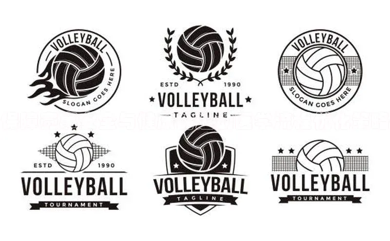 保障赛事安全与健康的运动医学流程优化策略