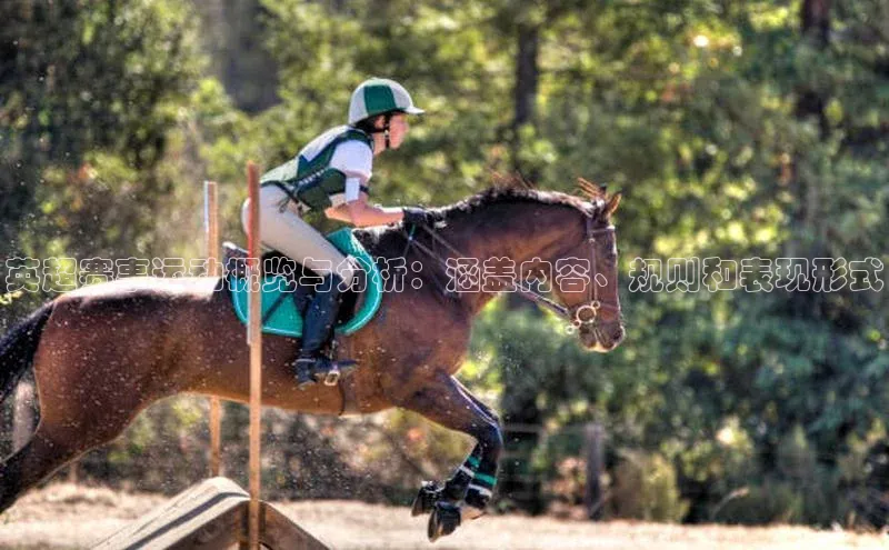 英超赛事运动概览与分析：涵盖内容、规则和表现形式