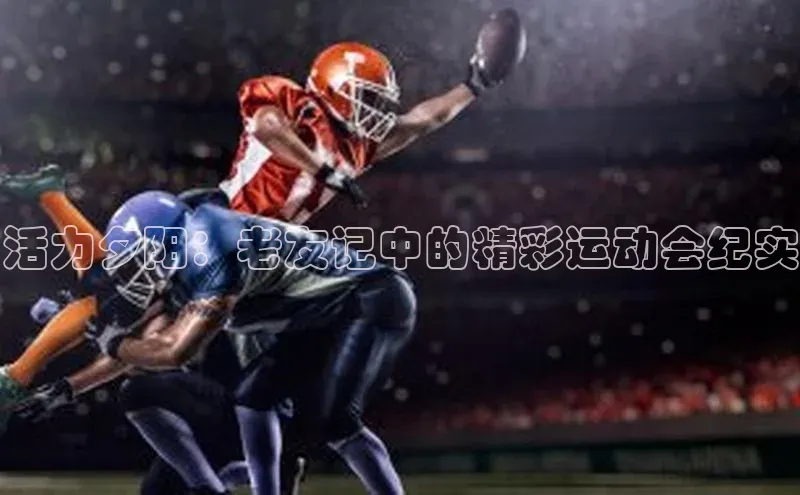 活力夕阳：老友记中的精彩运动会纪实