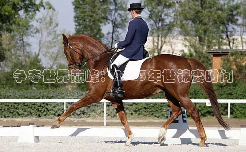 争夺世界巅峰：2023年世锦赛时间