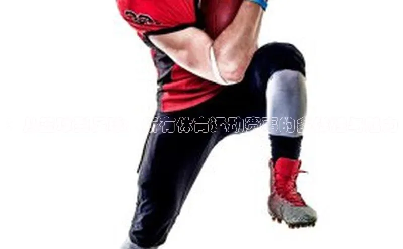 ：从篮球到足球，所有体育运动赛事的多样性与魅力