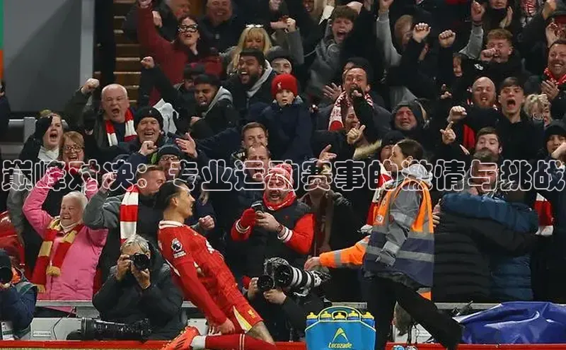 巅峰对决：专业运动赛事的激情与挑战