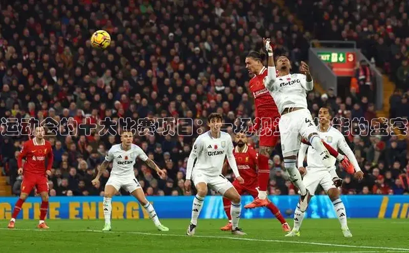 运动会的十大比赛项目：一场视觉与技能的盛宴