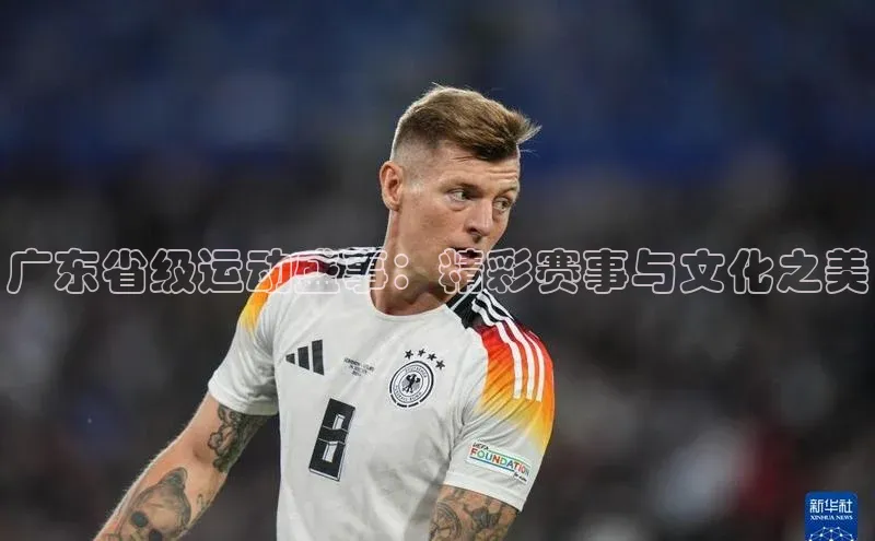 广东省级运动盛事：精彩赛事与文化之美